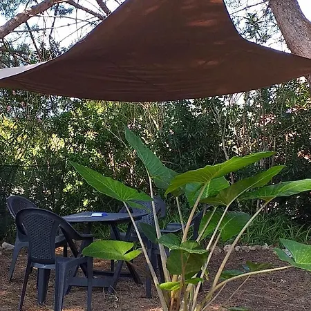 펜션 Casa Pineta *