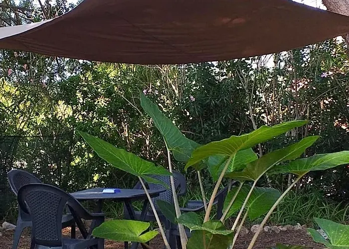 度假居 Casa Pineta *