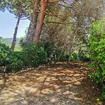 Casa Pineta
