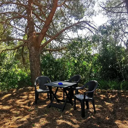 Casa de Férias Casa Pineta *