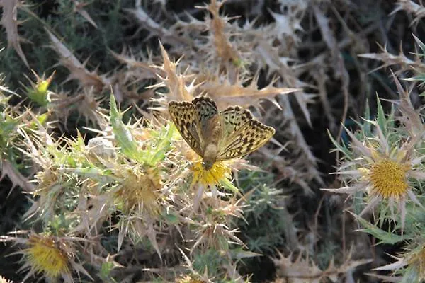 Casa vacanze Casa Pineta