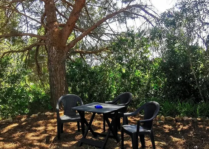 Holiday home Casa Pineta *