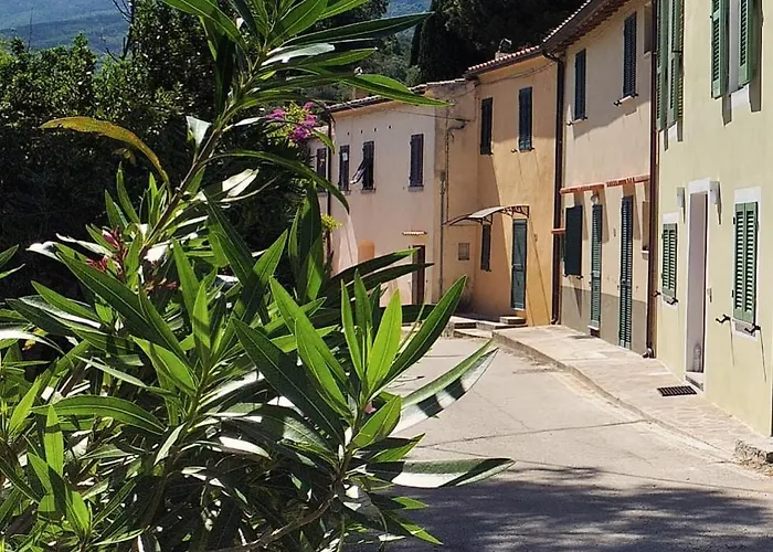 Holiday home Casa Pineta Procchio (Isola d'Elba)