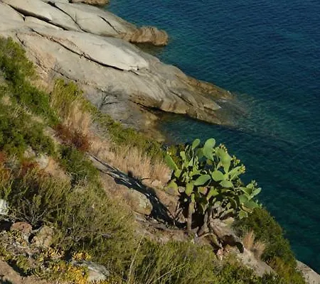 Casa Pineta *